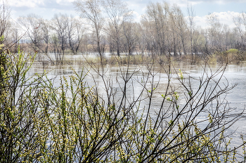 High-Water- / ***