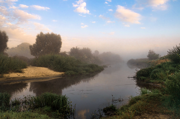 Sommermorgen. / ***