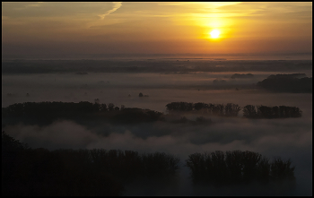 Sonnenaufgang im Wald / ***