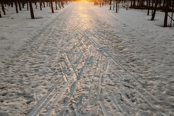 Strahlen / ***