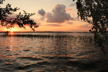 Julimorgen / ***