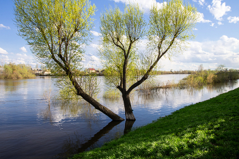 High-Water- / ***