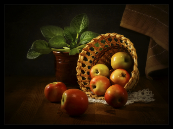 Äpfel / ***