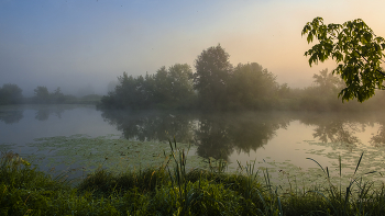 In der Morgendämmerung. / ***