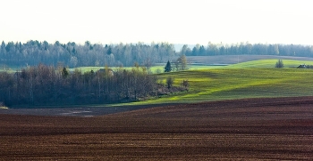 Feld / ***