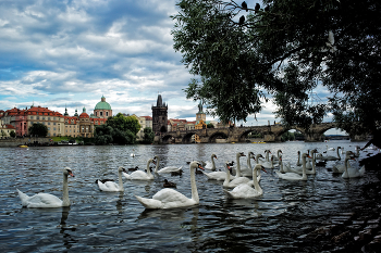 Prag / ***