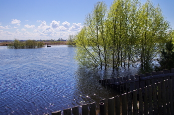 High-Water- / ***
