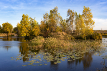 Inselchen / ***
