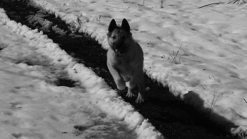 Stop! Wer ist da? / ...