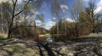 Frühling / ***