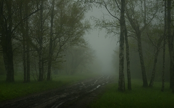 Nebliger Morgen / ***