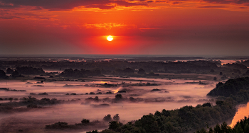 Scharlach dawn / ***
