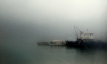 Nebel / ***