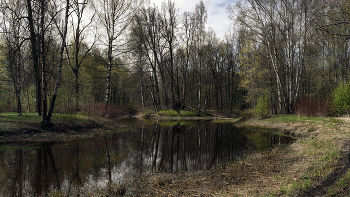 Frühling / ***