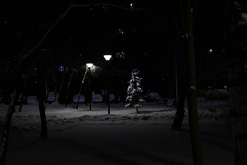 Februar / ***