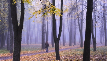 Wanderung / ***