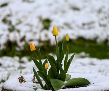 Wetter / ***