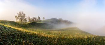Nebliger Morgen / ***