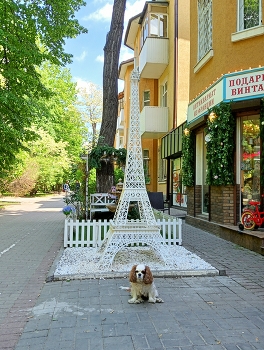 Pariser / ***