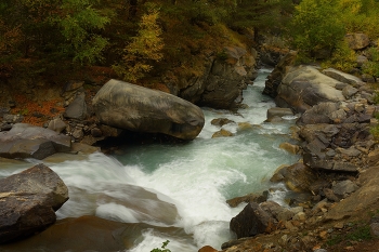Mountain Stream / ***
