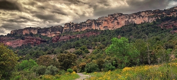 Cornudella de Montsant - Muntanya de Siurana - Priorat / Cornudella de Montsant - Muntanya de Siurana - Priorat