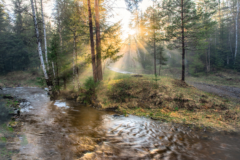 Evening Rays / ***