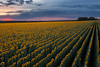 Evening Bau / ***