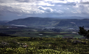 Die Golan Heights / ***