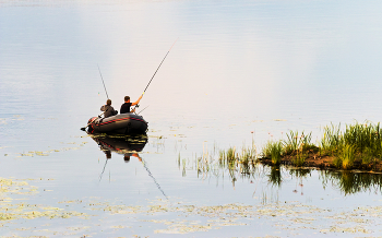 Fisher / ***