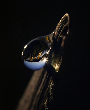 &nbsp; / ***