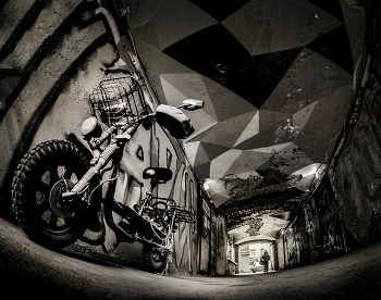 Bike / ***