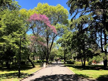 Park / ***