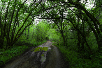Auf dem Weg / ***