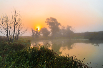 Morgennebel. / ***