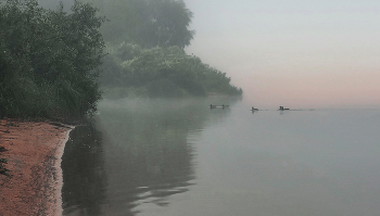 Im Morgennebel. / ***
