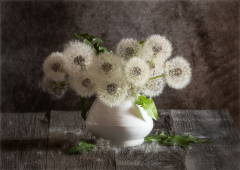 &nbsp; / https://irina-pro-photo.ru/still-lifes