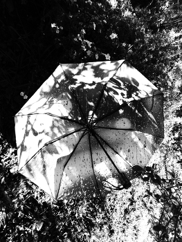 Regenschirm / ***