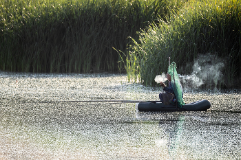 Beißen nicht ... / ***