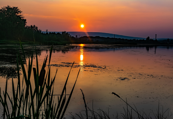 Abendsonne / ***