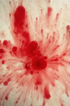 Leben rund um / ***