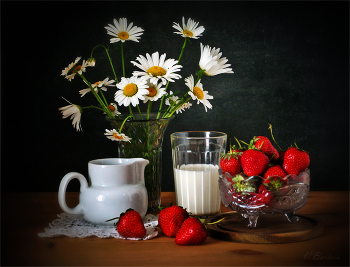 Sommer / ***