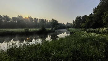 Nebel zerstreut / ***