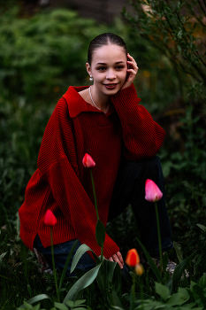 Von Tulpen / ***