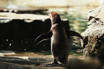  / Zoo Praha