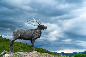 Altai-Gebirge / ***