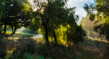Morgen in den Park. / ***