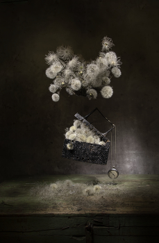 Levitation ... / ***