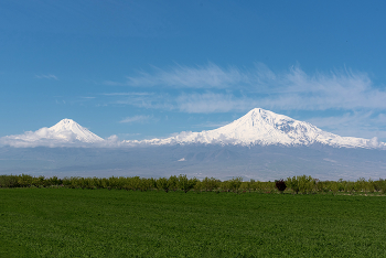 Ararat / ***