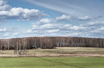 Baum. / ***