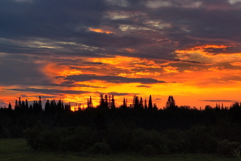 Sommerabend. / ***